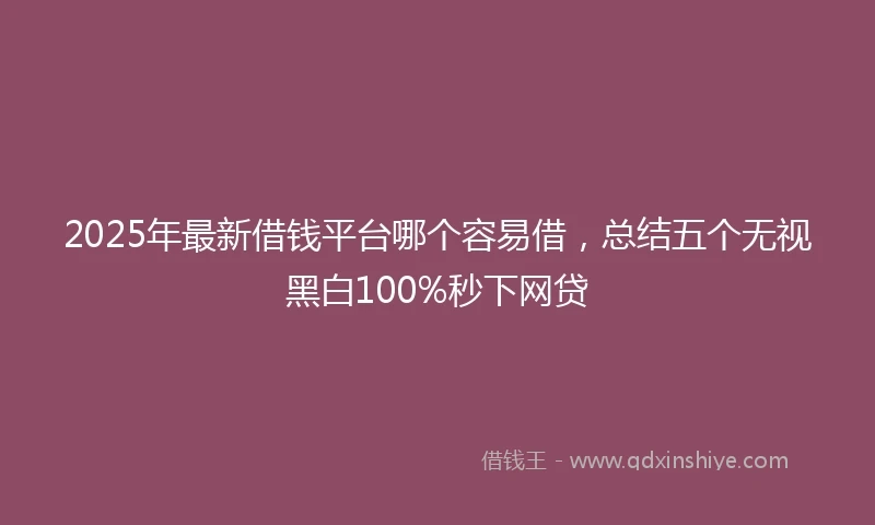 2025年最新借钱平台哪个容易借，总结五个无视黑白100%秒下网贷
