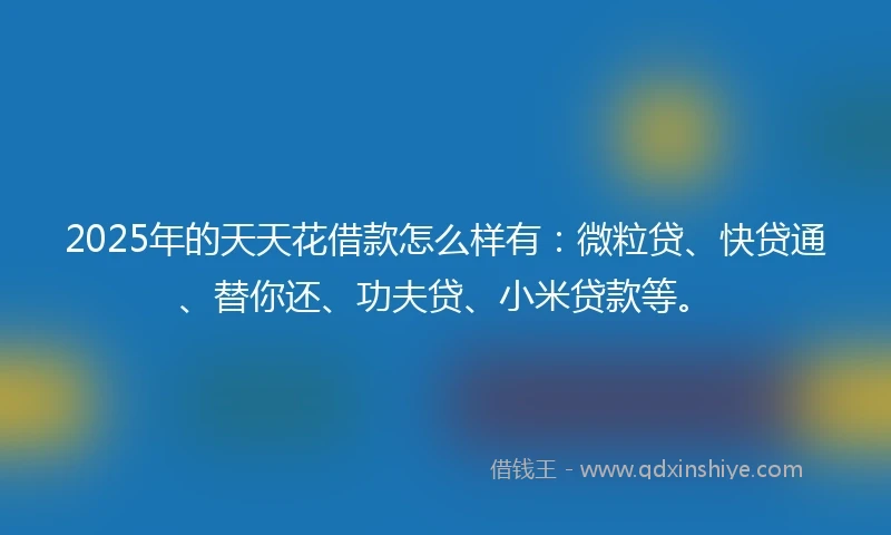 2025年的天天花借款怎么样有：微粒贷、快贷通、替你还、功夫贷、小米贷款等。