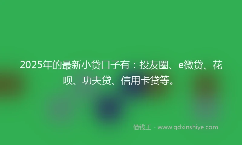 2025年的最新小贷口子有：投友圈、e微贷、花呗、功夫贷、信用卡贷等。