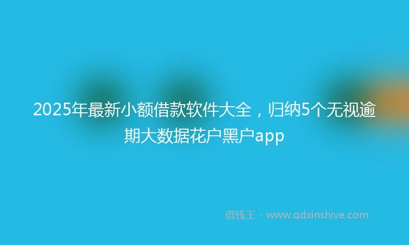 2025年最新小额借款软件大全，归纳5个无视逾期大数据花户黑户app