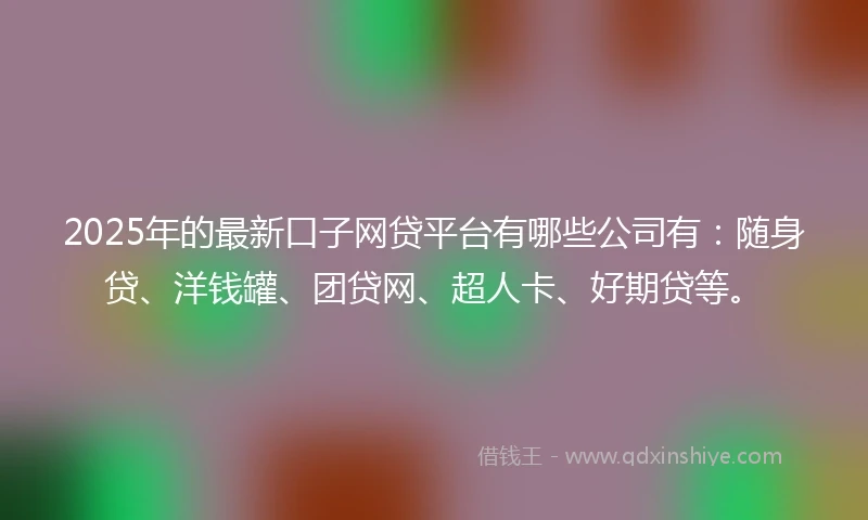 2025年的最新口子网贷平台有哪些公司有：随身贷、洋钱罐、团贷网、超人卡、好期贷等。