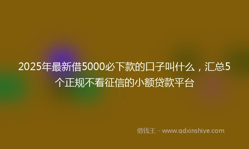 2025年最新借5000必下款的口子叫什么，汇总5个正规不看征信的小额贷款平台