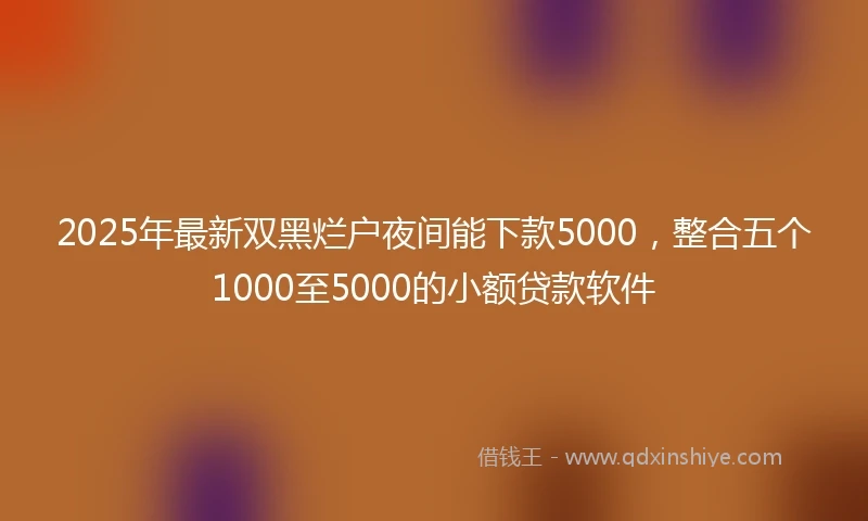 2025年最新双黑烂户夜间能下款5000，整合五个1000至5000的小额贷款软件