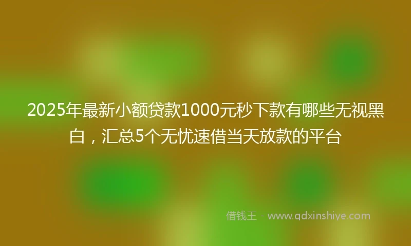2025年最新小额贷款1000元秒下款有哪些无视黑白，汇总5个无忧速借当天放款的平台