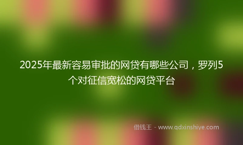 2025年最新容易审批的网贷有哪些公司，罗列5个对征信宽松的网贷平台