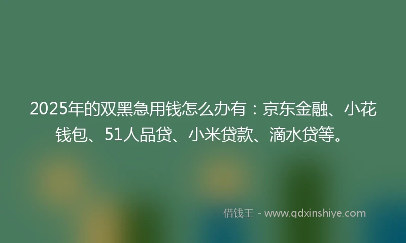 2025年的双黑急用钱怎么办有：京东金融、小花钱包、51人品贷、小米贷款、滴水贷等。