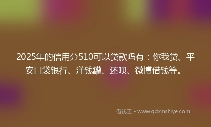 2025年的信用分510可以贷款吗有：你我贷、平安口袋银行、洋钱罐、还呗、微博借钱等。