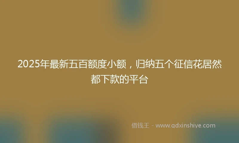2025年最新五百额度小额，归纳五个征信花居然都下款的平台