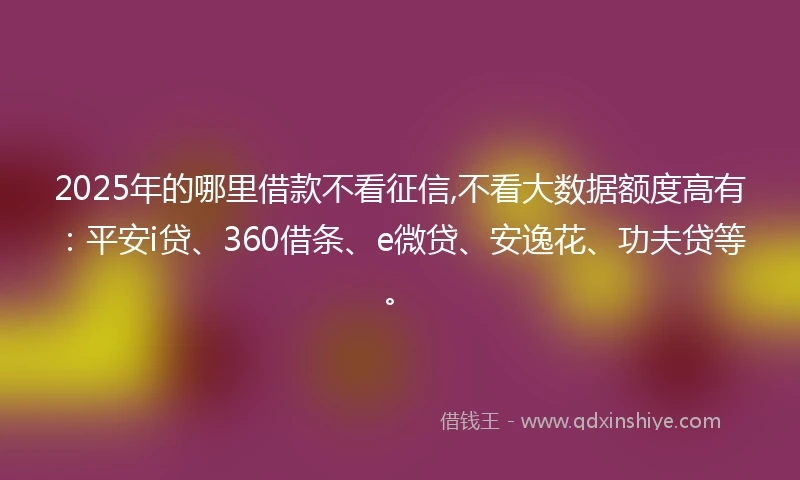 2025年的哪里借款不看征信,不看大数据额度高有：平安i贷、360借条、e微贷、安逸花、功夫贷等。