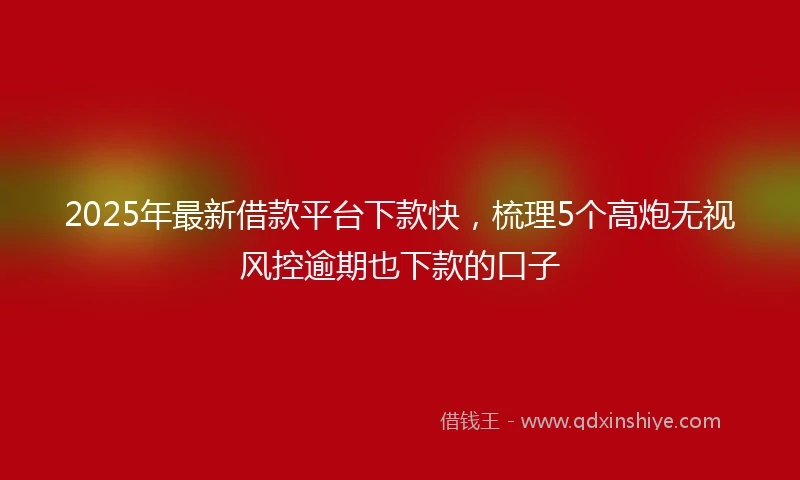 2025年最新借款平台下款快，梳理5个高炮无视风控逾期也下款的口子