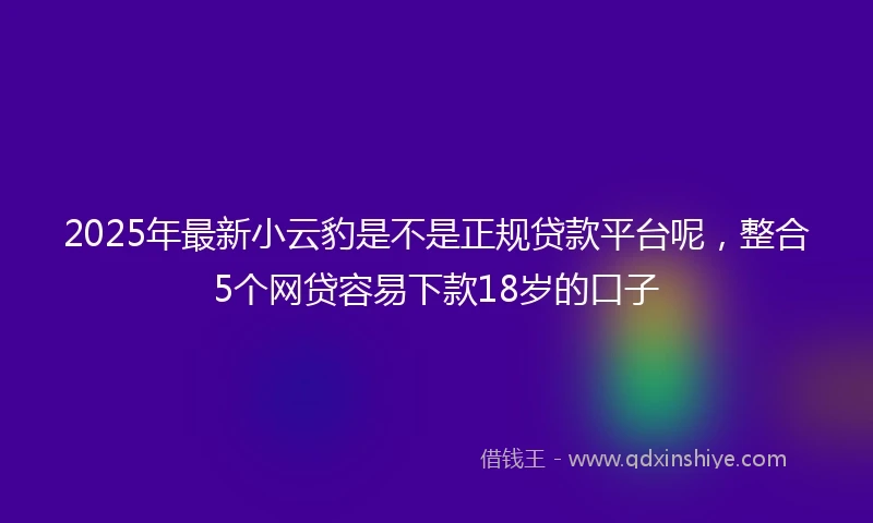 2025年最新小云豹是不是正规贷款平台呢，整合5个网贷容易下款18岁的口子