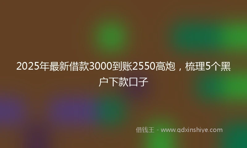 2025年最新借款3000到账2550高炮，梳理5个黑户下款口子