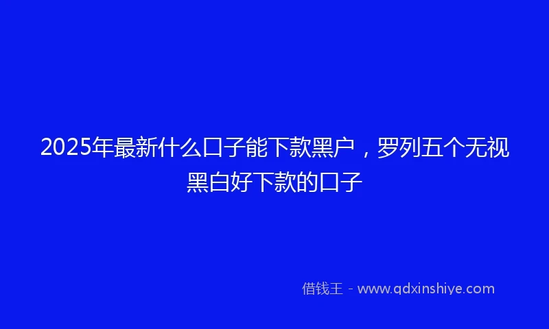 2025年最新什么口子能下款黑户，罗列五个无视黑白好下款的口子