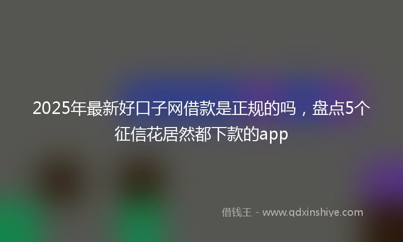 2025年最新好口子网借款是正规的吗,盘点5个征信花居然都下款的app
