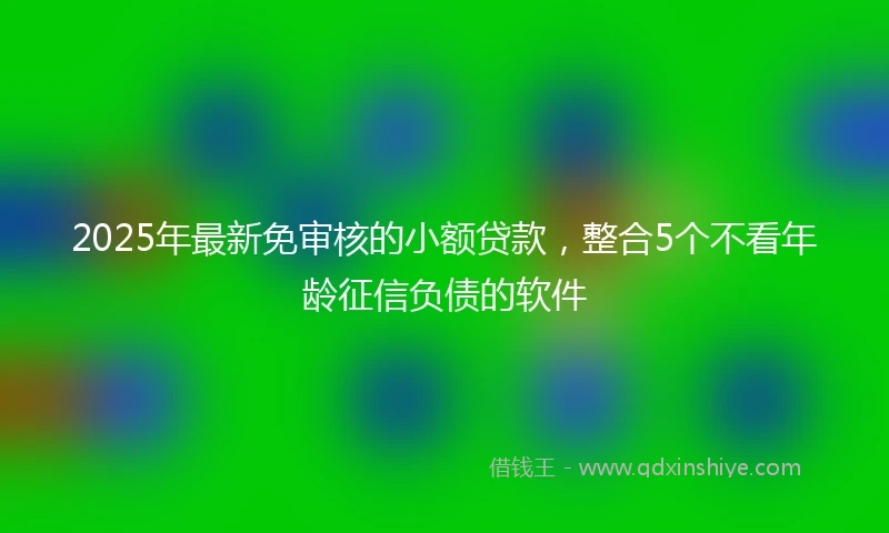 2025年最新免审核的小额贷款，整合5个不看年龄征信负债的软件