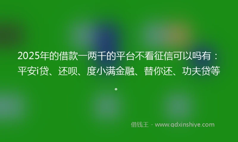 2025年的借款一两千的平台不看征信可以吗有：平安i贷、还呗、度小满金融、替你还、功夫贷等。