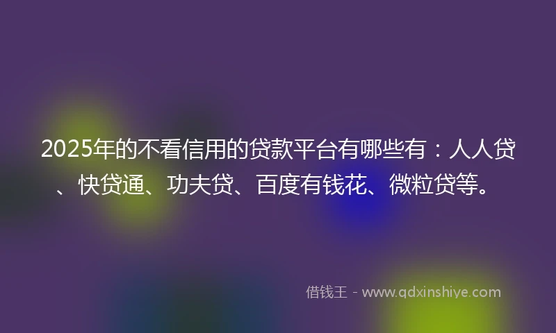 2025年的不看信用的贷款平台有哪些有：人人贷、快贷通、功夫贷、百度有钱花、微粒贷等。