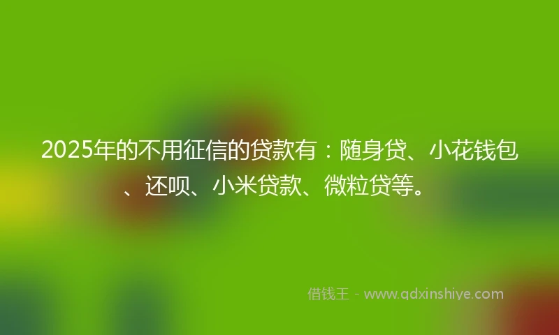 2025年的不用征信的贷款有：随身贷、小花钱包、还呗、小米贷款、微粒贷等。