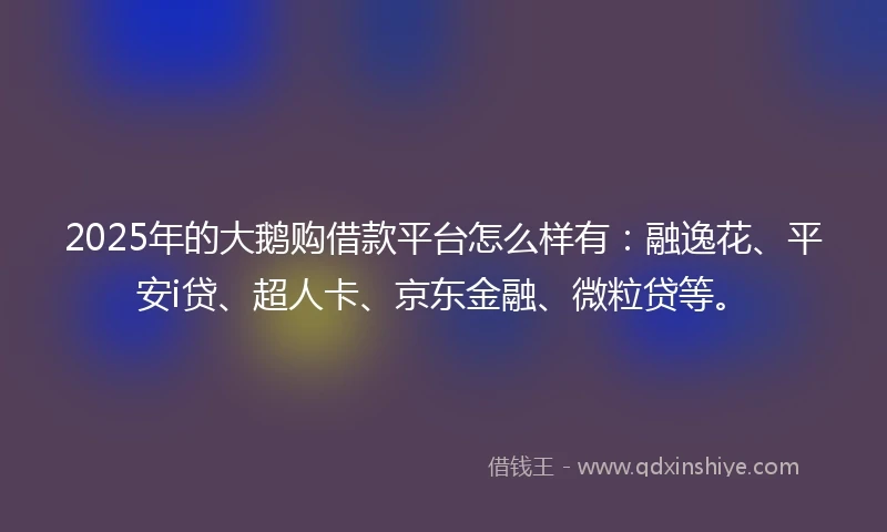 2025年的大鹅购借款平台怎么样有：融逸花、平安i贷、超人卡、京东金融、微粒贷等。