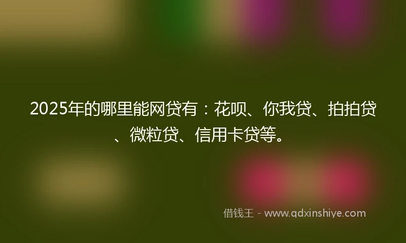 2025年的哪里能网贷有：花呗、你我贷、拍拍贷、微粒贷、信用卡贷等。