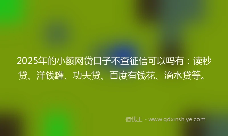 2025年的小额网贷口子不查征信可以吗有：读秒贷、洋钱罐、功夫贷、百度有钱花、滴水贷等。