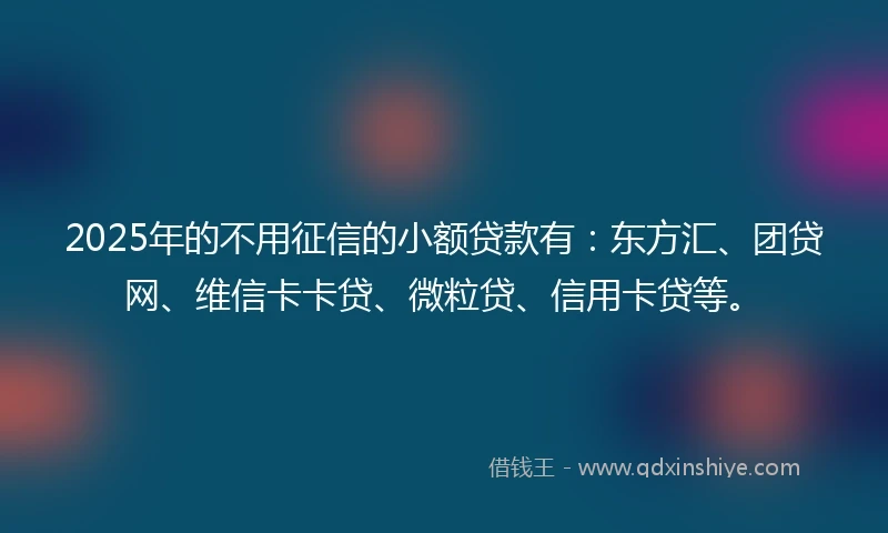 2025年的不用征信的小额贷款有：东方汇、团贷网、维信卡卡贷、微粒贷、信用卡贷等。