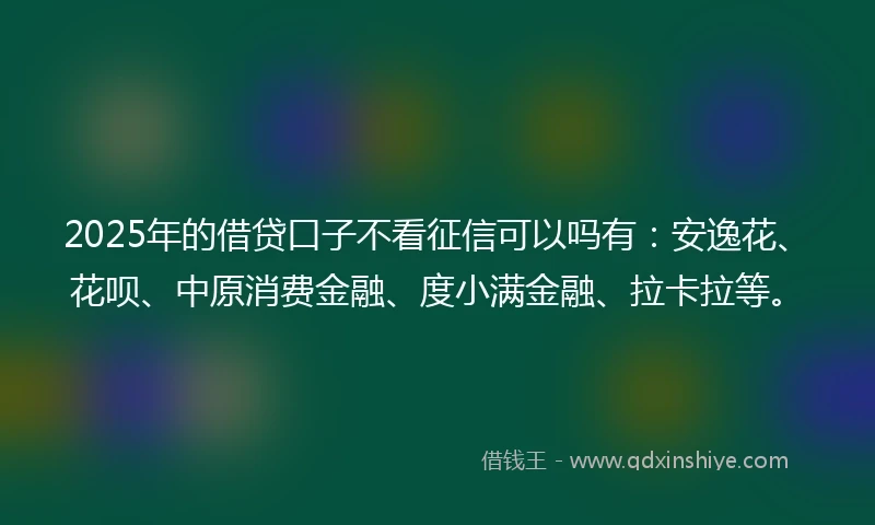 2025年的借贷口子不看征信可以吗有：安逸花、花呗、中原消费金融、度小满金融、拉卡拉等。