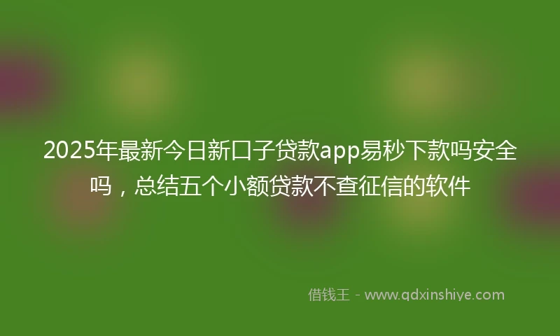 2025年最新今日新口子贷款app易秒下款吗安全吗，总结五个小额贷款不查征信的软件