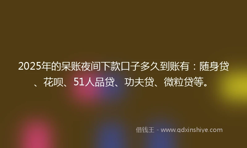 2025年的呆账夜间下款口子多久到账有：随身贷、花呗、51人品贷、功夫贷、微粒贷等。