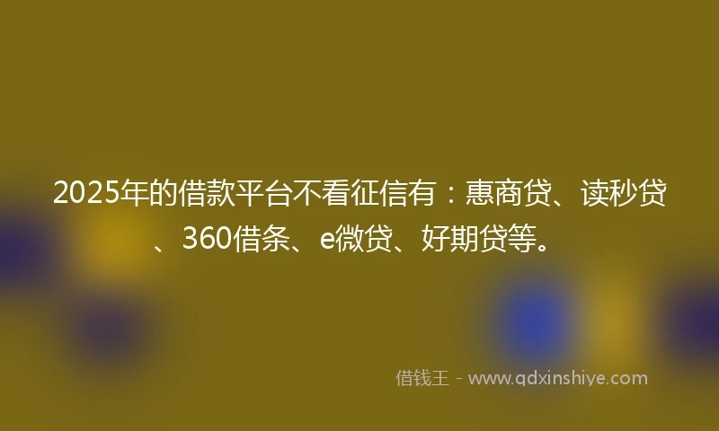 2025年的借款平台不看征信有：惠商贷、读秒贷、360借条、e微贷、好期贷等。