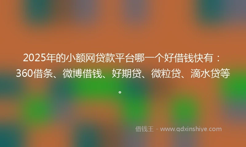 2025年的小额网贷款平台哪一个好借钱快有：360借条、微博借钱、好期贷、微粒贷、滴水贷等。