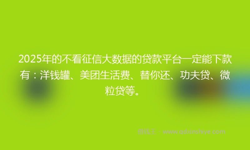 2025年的不看征信大数据的贷款平台一定能下款有：洋钱罐、美团生活费、替你还、功夫贷、微粒贷等。