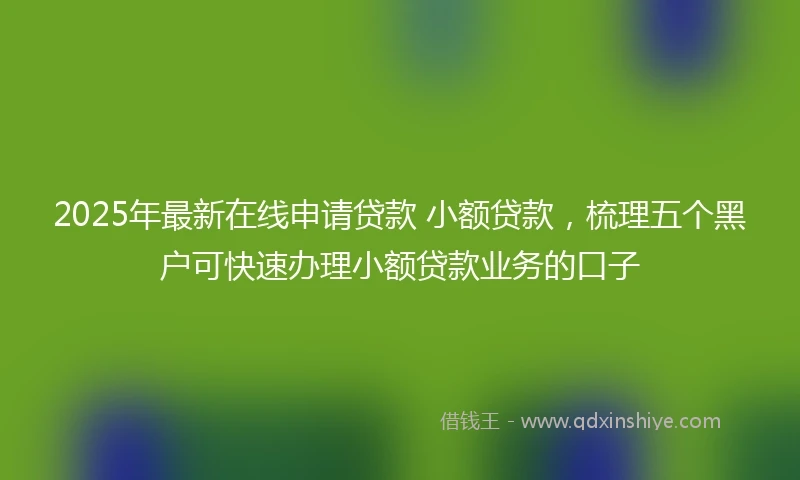 2025年最新在线申请贷款 小额贷款，梳理五个黑户可快速办理小额贷款业务的口子