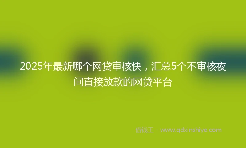 2025年最新哪个网贷审核快，汇总5个不审核夜间直接放款的网贷平台