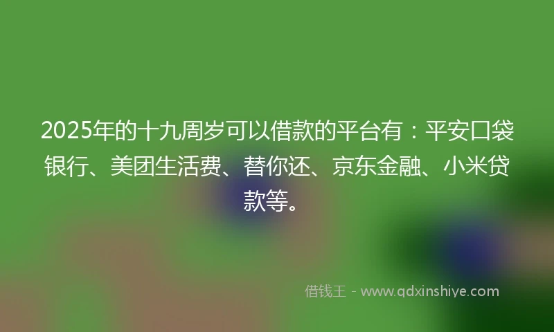 2025年的十九周岁可以借款的平台有：平安口袋银行、美团生活费、替你还、京东金融、小米贷款等。