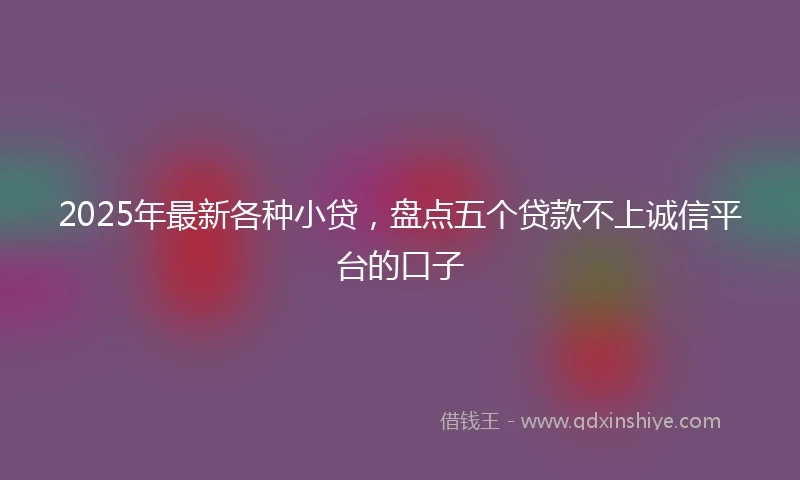 2025年最新各种小贷，盘点五个贷款不上诚信平台的口子