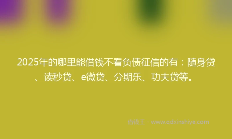 2025年的哪里能借钱不看负债征信的有：随身贷、读秒贷、e微贷、分期乐、功夫贷等。