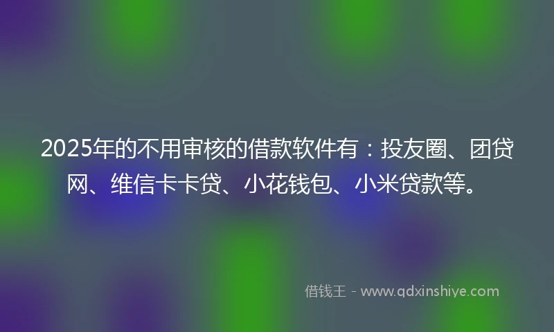 2025年的不用审核的借款软件有：投友圈、团贷网、维信卡卡贷、小花钱包、小米贷款等。