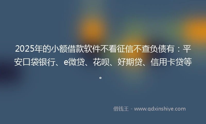 2025年的小额借款软件不看征信不查负债有：平安口袋银行、e微贷、花呗、好期贷、信用卡贷等。