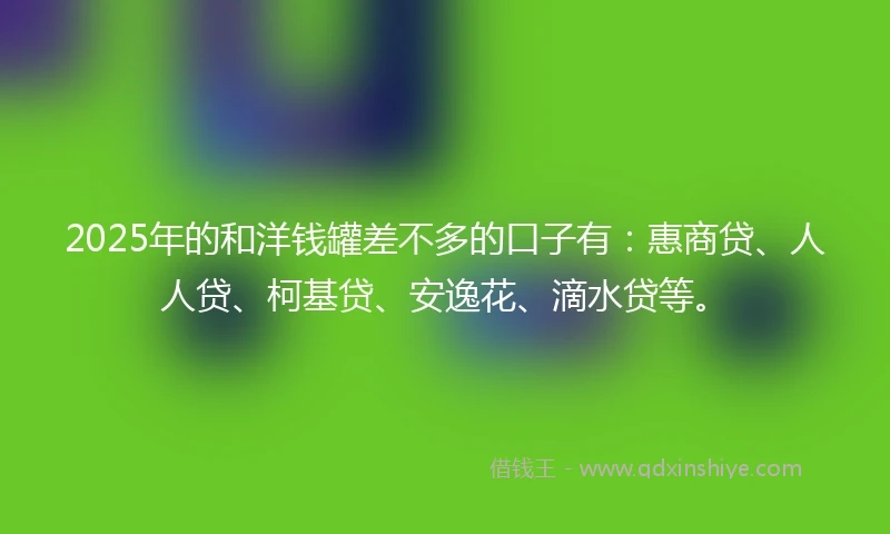 2025年的和洋钱罐差不多的口子有：惠商贷、人人贷、柯基贷、安逸花、滴水贷等。