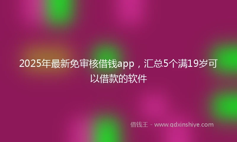 2025年最新免审核借钱app，汇总5个满19岁可以借款的软件