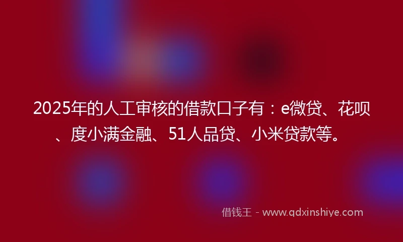 2025年的人工审核的借款口子有：e微贷、花呗、度小满金融、51人品贷、小米贷款等。