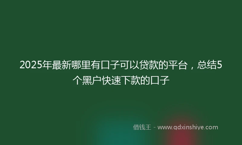 2025年最新哪里有口子可以贷款的平台，总结5个黑户快速下款的口子