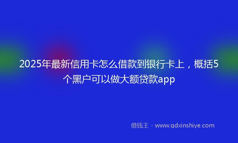 2025年最新信用卡怎么借款到银行卡上，概括5个黑户可以做大额贷款app