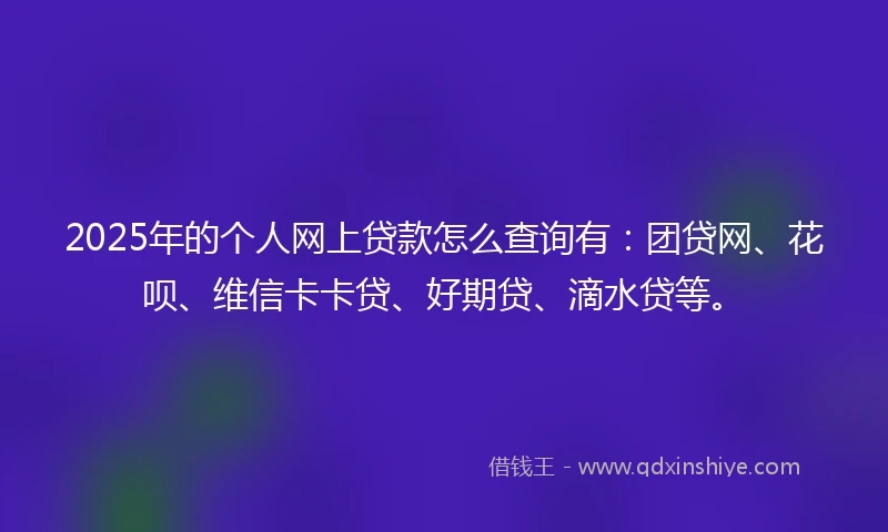 2025年的个人网上贷款怎么查询有：团贷网、花呗、维信卡卡贷、好期贷、滴水贷等。