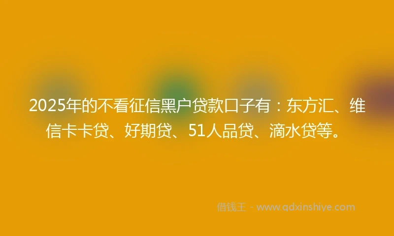 2025年的不看征信黑户贷款口子有：东方汇、维信卡卡贷、好期贷、51人品贷、滴水贷等。