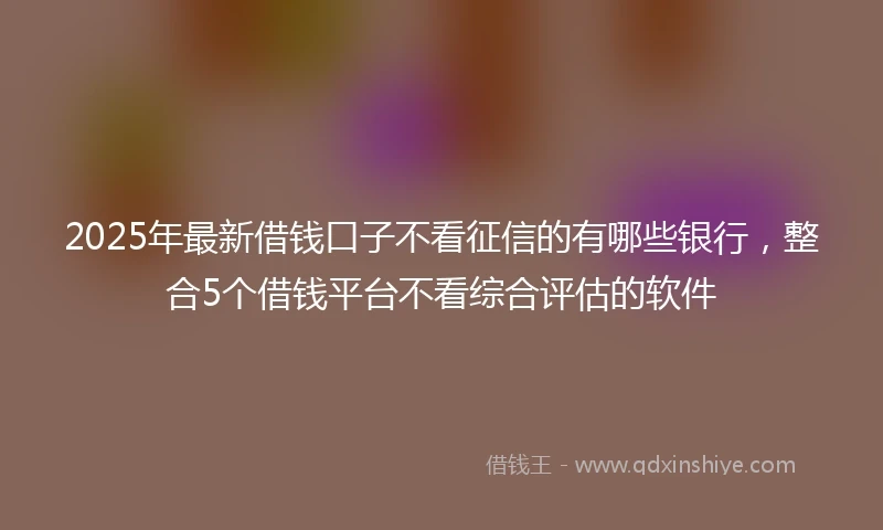 2025年最新借钱口子不看征信的有哪些银行，整合5个借钱平台不看综合评估的软件