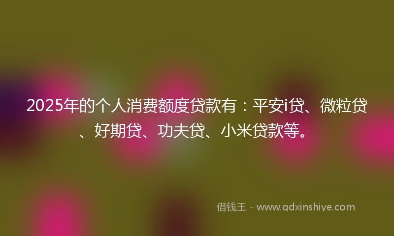 2025年的个人消费额度贷款有：平安i贷、微粒贷、好期贷、功夫贷、小米贷款等。