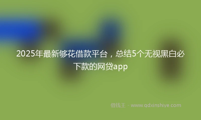 2025年最新够花借款平台，总结5个无视黑白必下款的网贷app