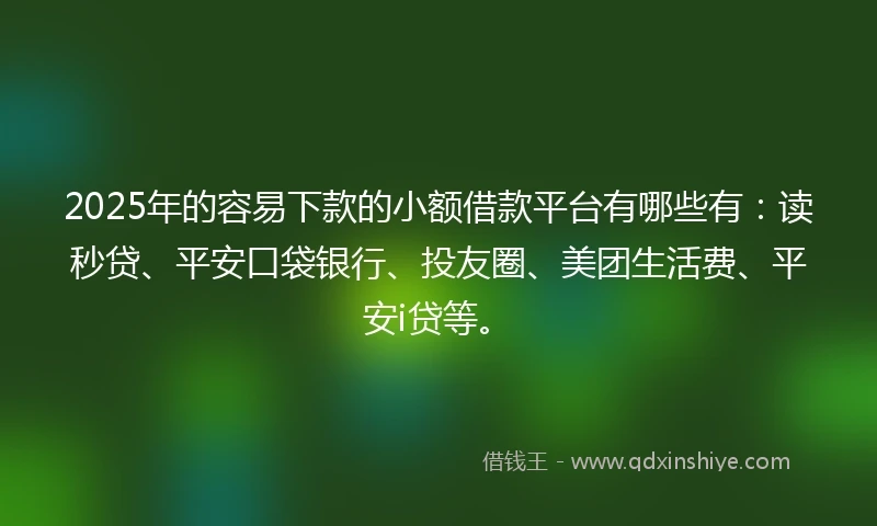 2025年的容易下款的小额借款平台有哪些有：读秒贷、平安口袋银行、投友圈、美团生活费、平安i贷等。